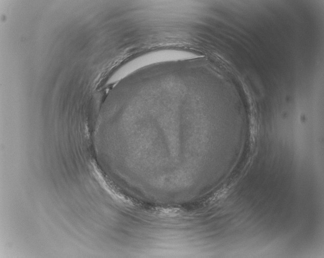 X0000051260401200507152221