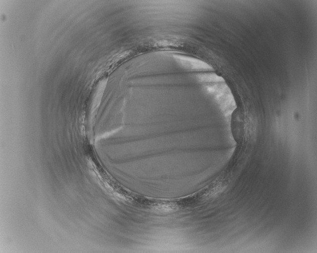 X0000051260402200507152221