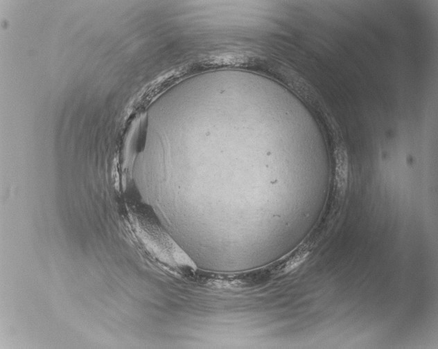 X0000051260403200507152221