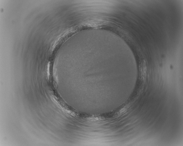 X0000051260404200507152221