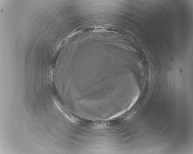 X0000051260405200507152221