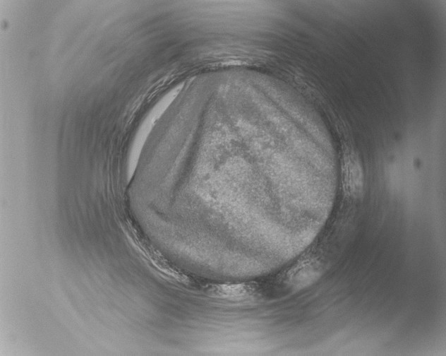 X0000051260406200507152221