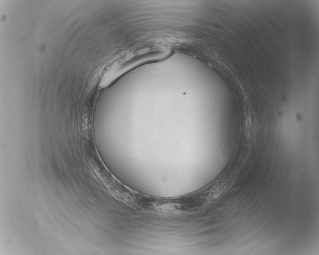 X0000051260407200507152221