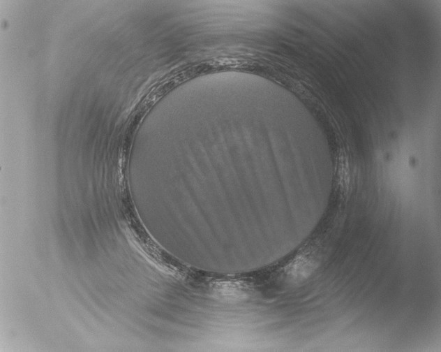 X0000051260408200507152221