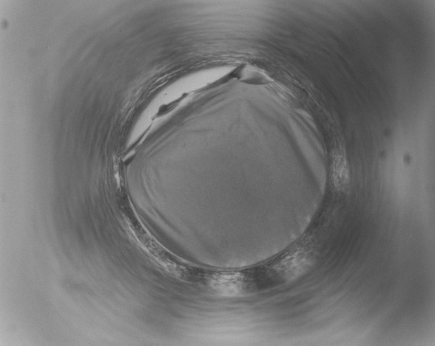 X0000051260410200507152221