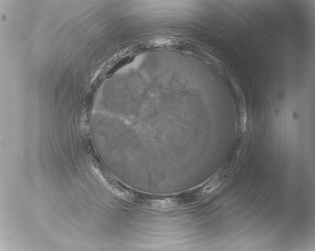 X0000051260411200507152221