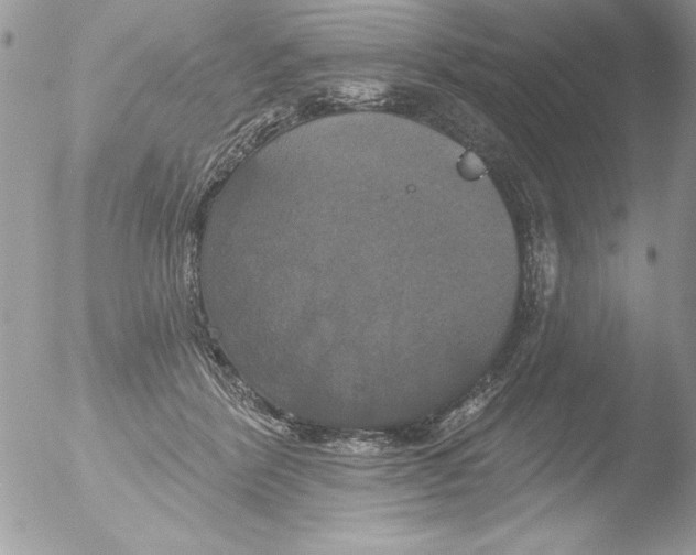 X0000051260412200507152221