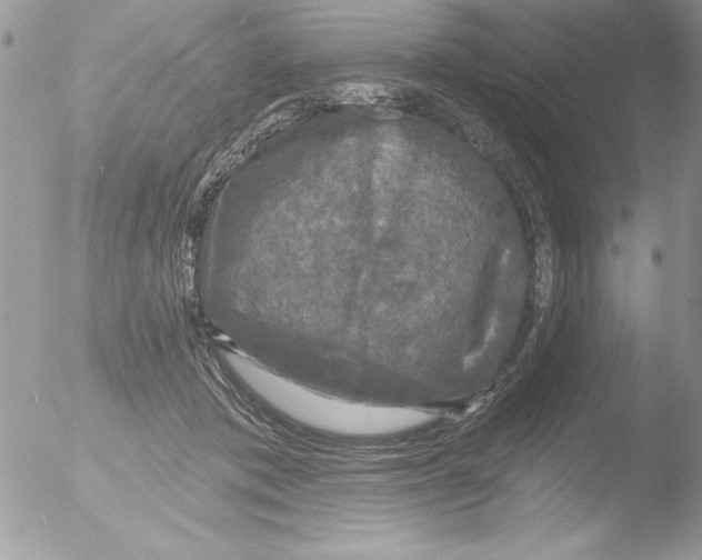 X0000051260413200507152221