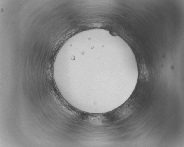 X0000051260414200507152221