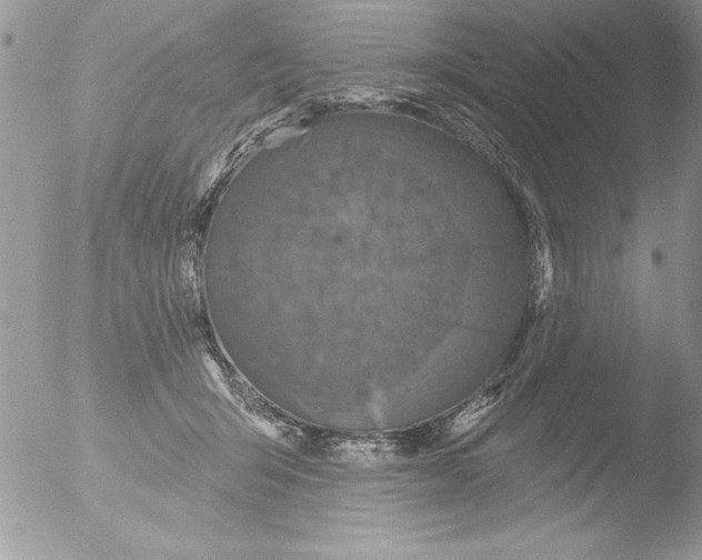 X0000051260415200507152221