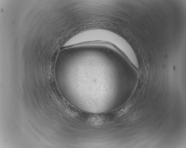 X0000051260416200507152221