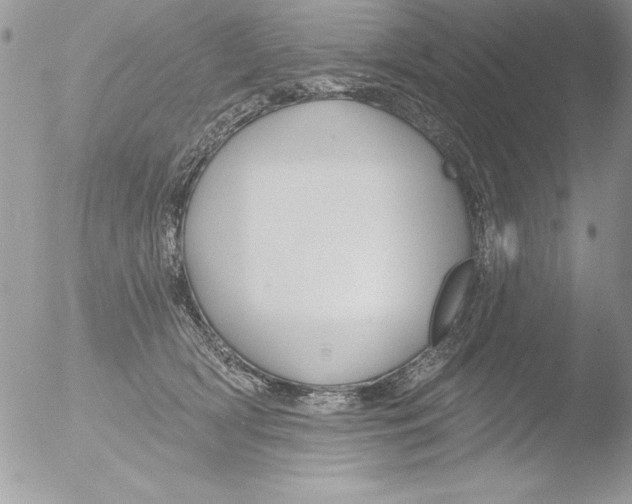 X0000051260418200507152221