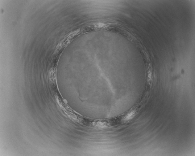 X0000051260419200507152221