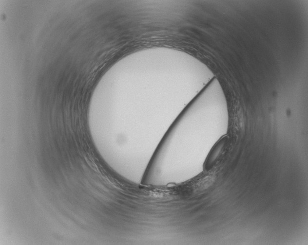 X0000051260420200507152221