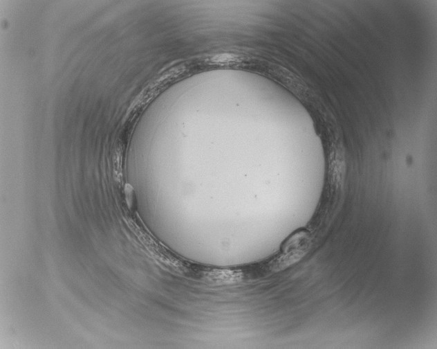 X0000051260421200507152221