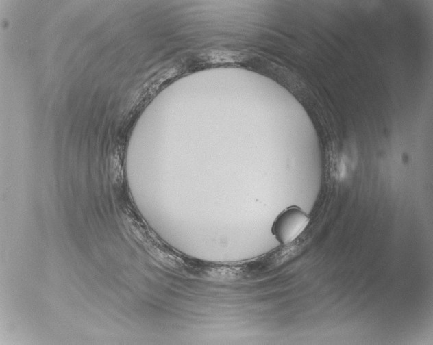 X0000051260422200507152221