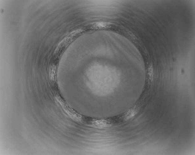 X0000051260423200507152221