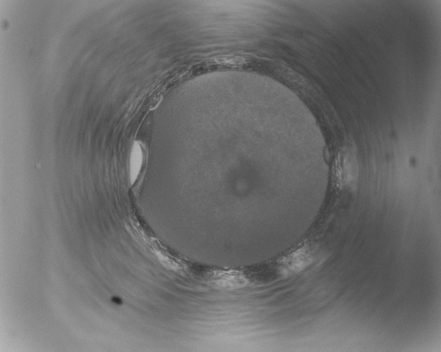 X0000051260424200507152221