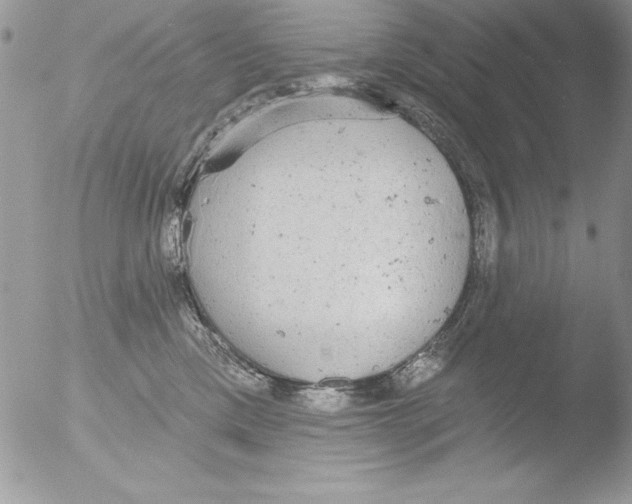 X0000051260425200507152221