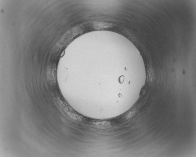 X0000051260426200507152220