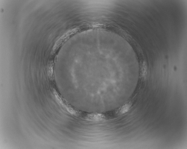 X0000051260427200507152220