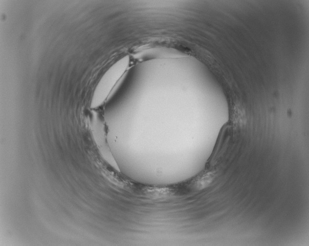 X0000051260428200507152220