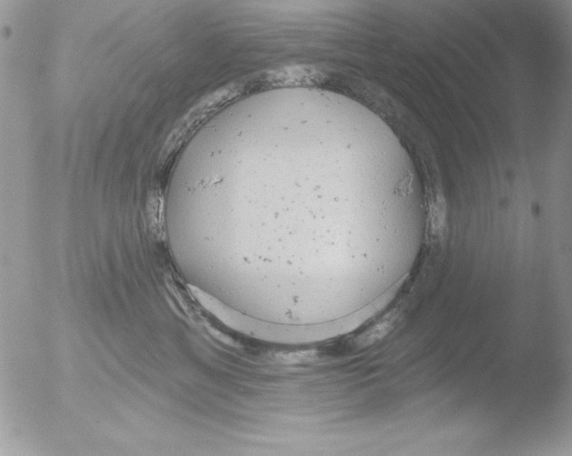 X0000051260429200507152220