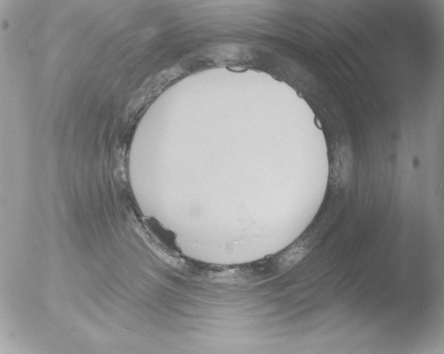 X0000051260430200507152220