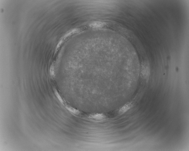 X0000051260431200507152220