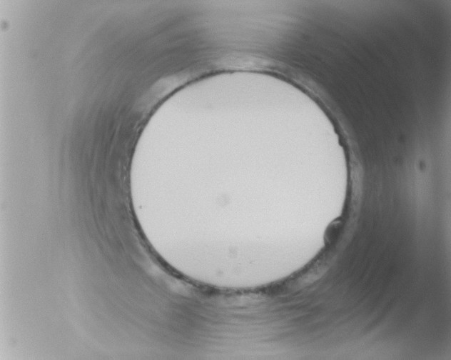 X0000051260433200507152220