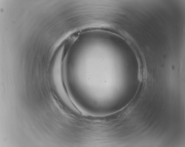 X0000051260436200507152220