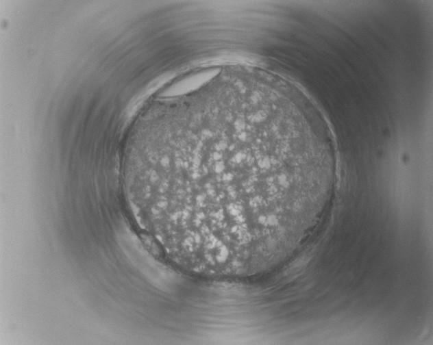 X0000051260437200507152220