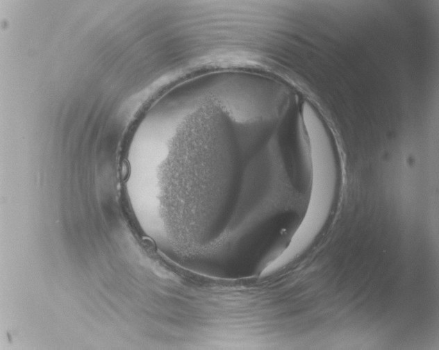 X0000051260438200507152220