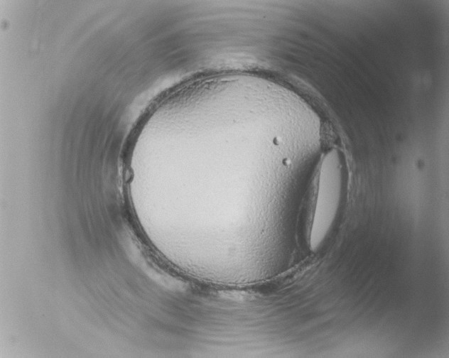 X0000051260439200507152220