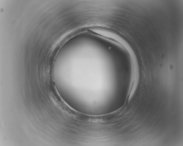 X0000051260440200507152220