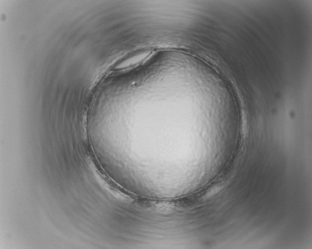 X0000051260441200507152220