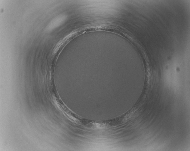 X0000051260442200507152220