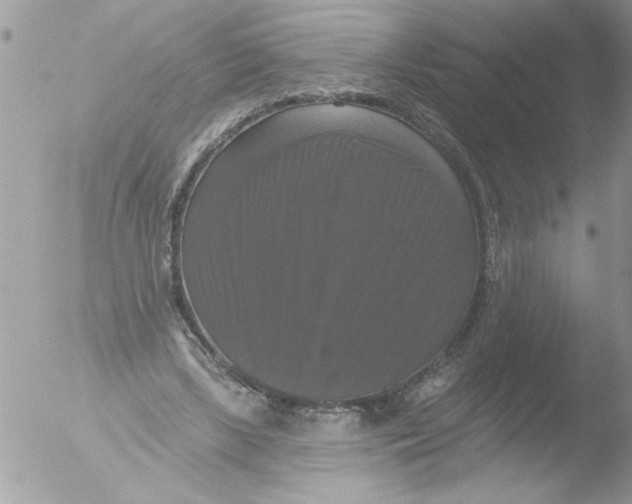 X0000051260443200507152220