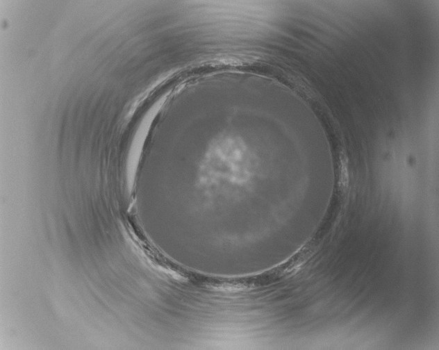 X0000051260444200507152220