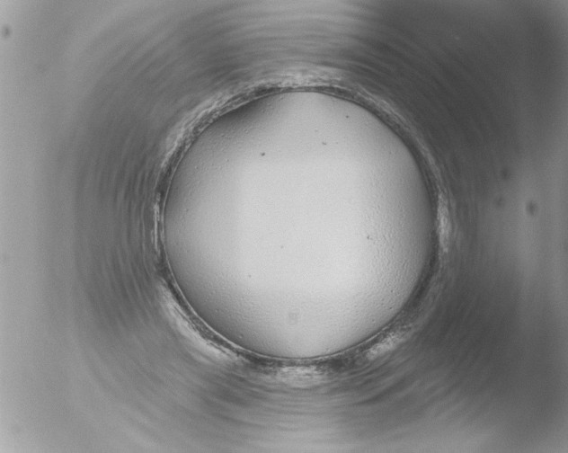 X0000051260445200507152220