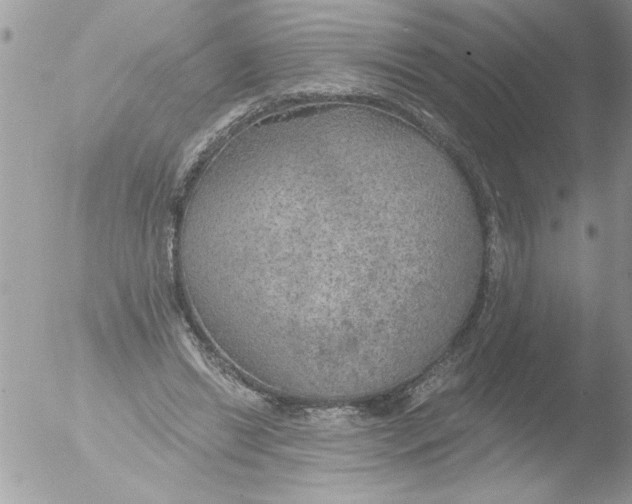 X0000051260446200507152220