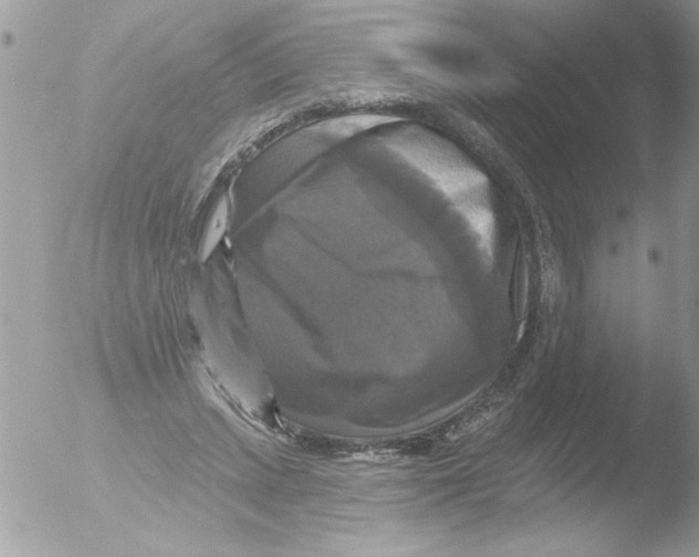 X0000051260447200507152220