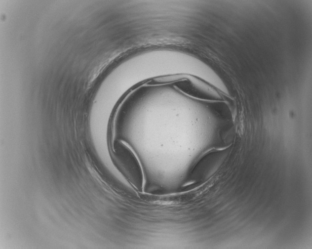 X0000051260448200507152220