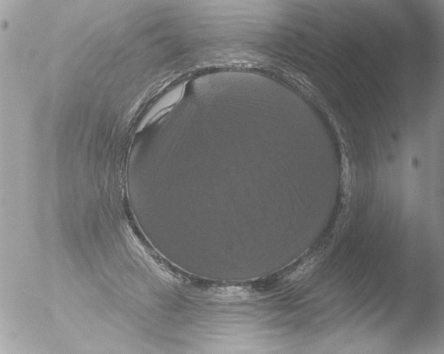 X0000051260449200507152220