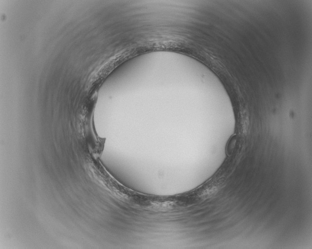 X0000051260450200507152220