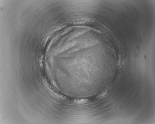 X0000051260452200507152220