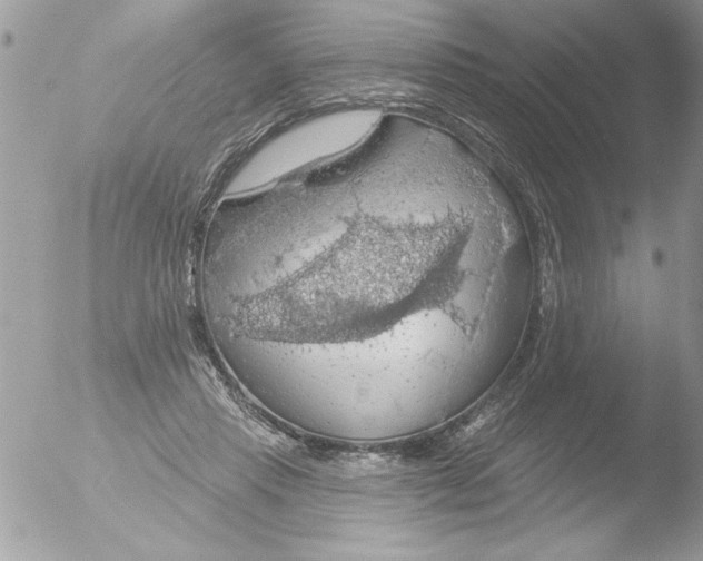 X0000051260453200507152220