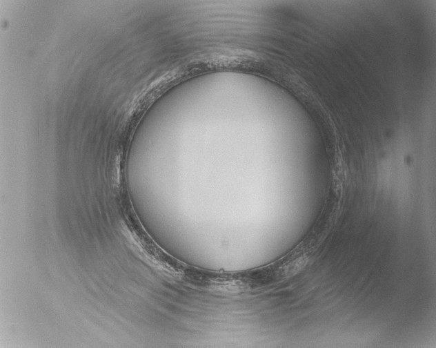 X0000051260454200507152220