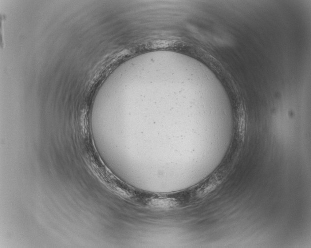 X0000051260455200507152220