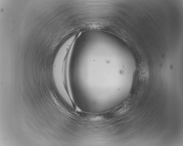 X0000051260456200507152220